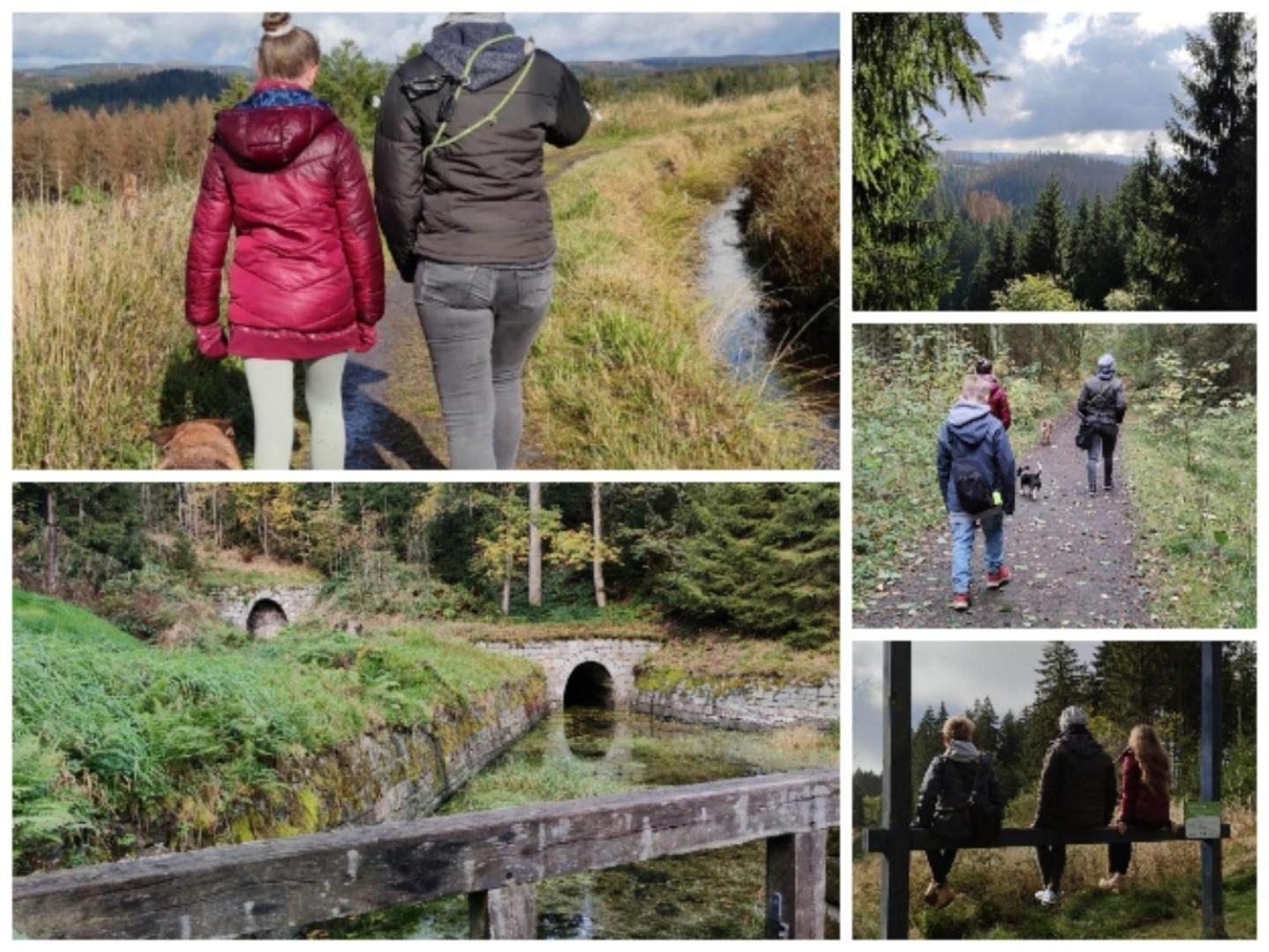 Naturliebeharz Altenau  Exteriér fotografie